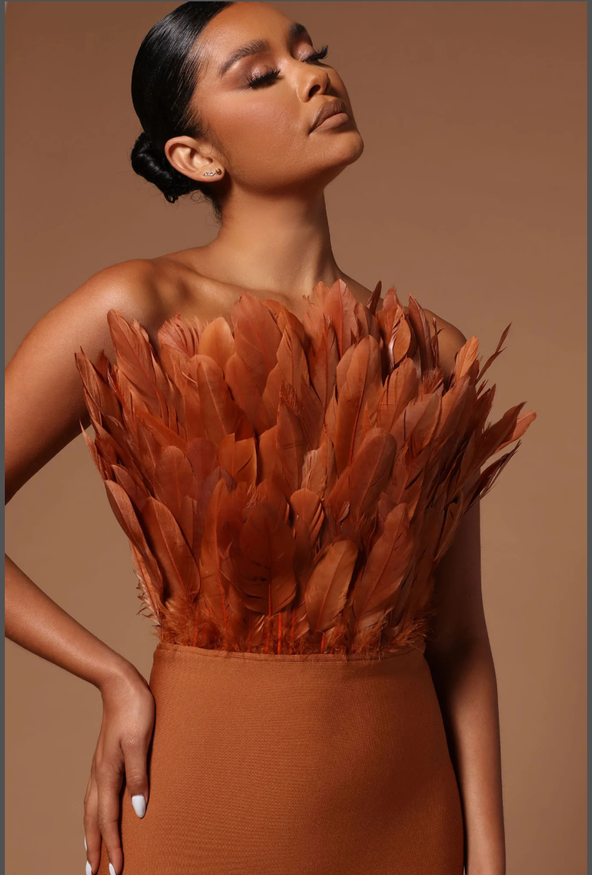 Feather Bandage Dress - OasisPlug