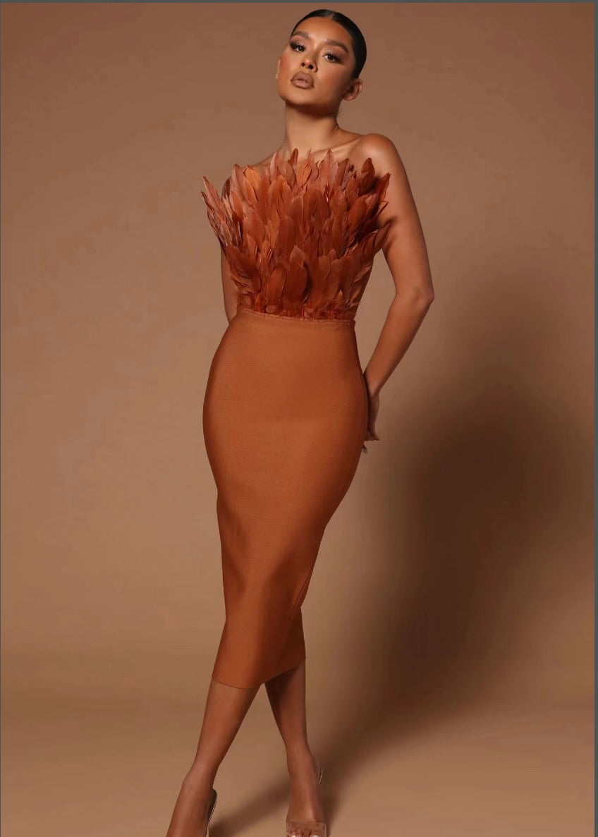 Feather Bandage Dress